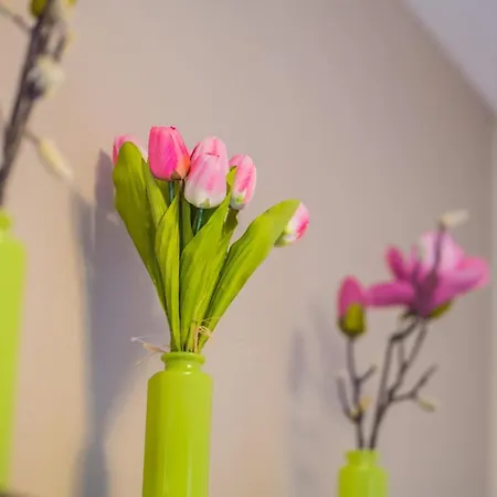 Myflat Solaris Family Apartamento *